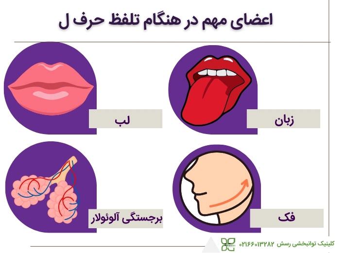 قسمت های درگیر در گفتار حرف ل