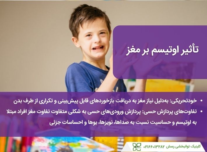 نحوه تاثی اوتیسم بر مغز