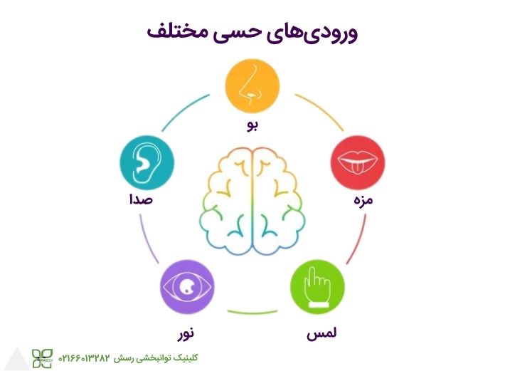 انواع ورودی های حسی