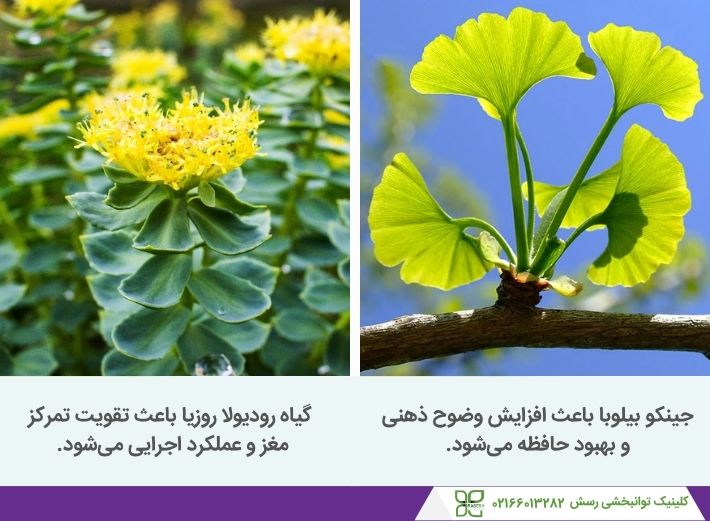 درمان بیش فعالی با جینکو بیلوبا و رودیولا روزیا