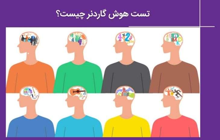تست هوش گاردنر چیست؟ صفرتاصد تست هوش چندگانه گاردنر